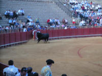 corrida02.jpg