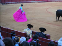 corrida05.jpg