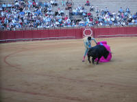 corrida08.jpg