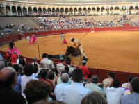 corrida10.jpg