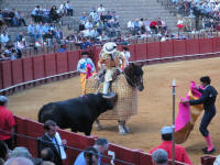 corrida14.jpg