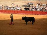corrida40.jpg