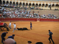 corrida45.jpg